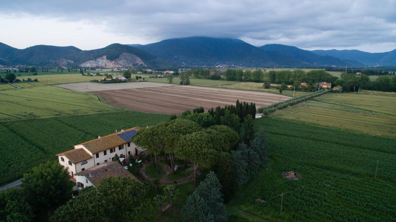 Podere Magnolia Pisa Exterior foto